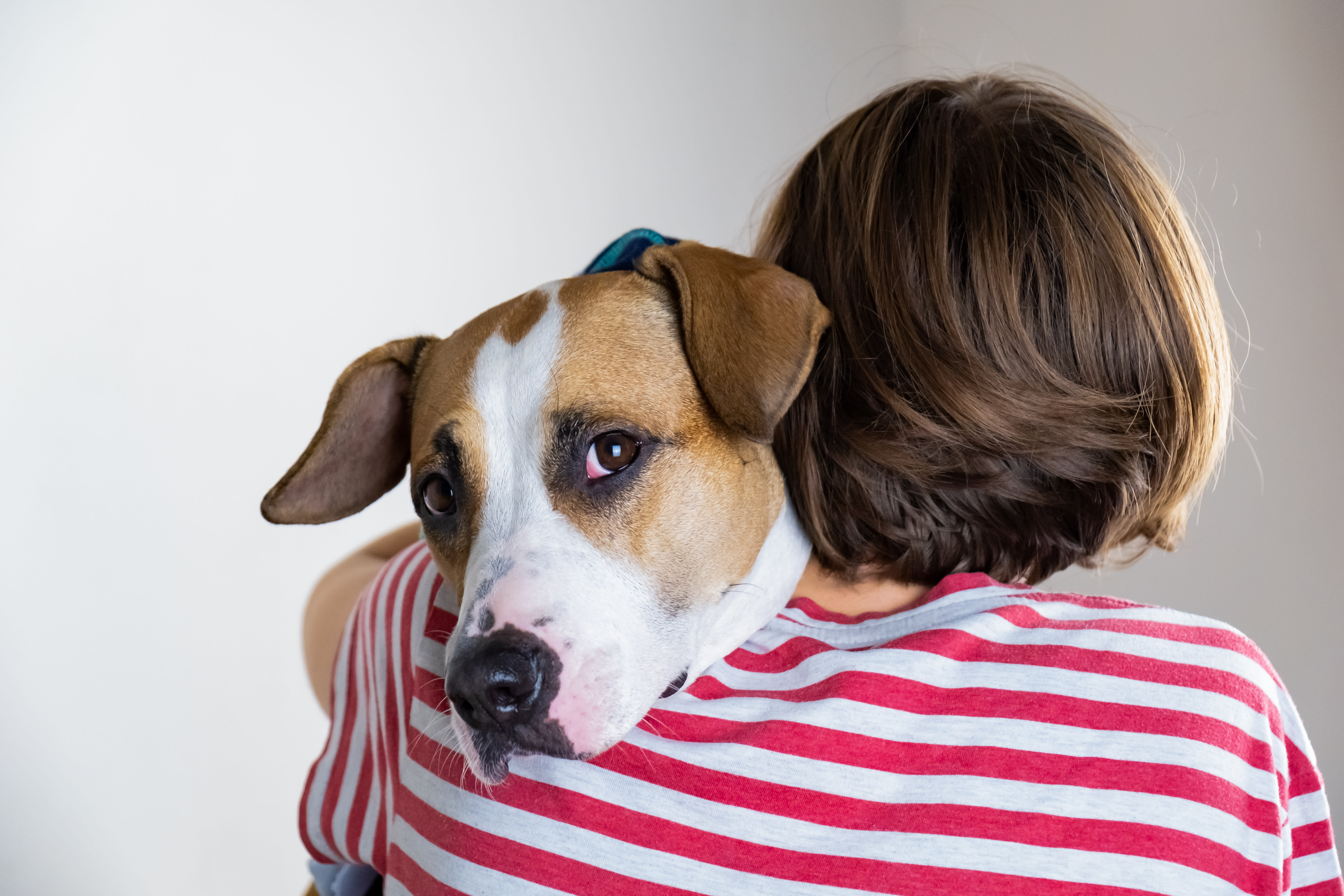 how can you tell if your dog is depressed or lonely