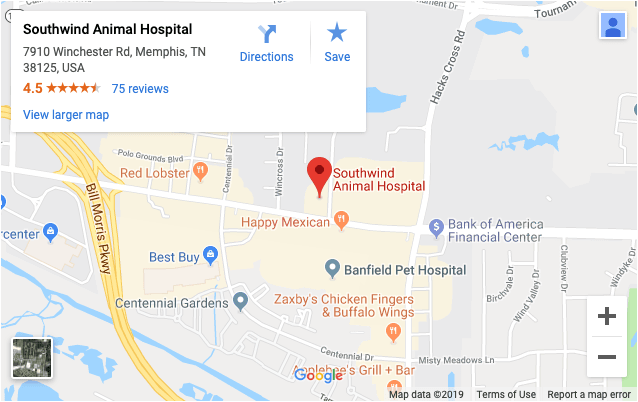 Memphis Animal Clinic | Memphis Vet | Pet Hospital Memphis | Memphis  Veterinary | Southwind Animal Hospital Memphis