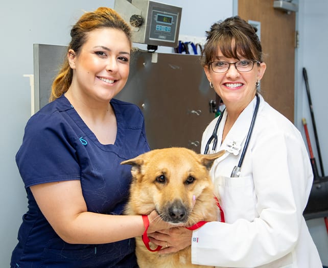 Careers | Southwind Animal Hospital Memphis Careers | Southwind Animal Hospital Memphis