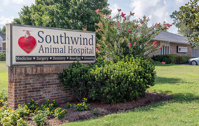 Southwind Animal Hospital